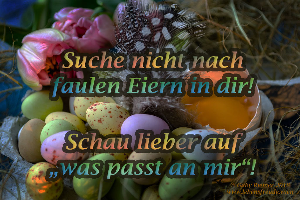 Suchst du überall nach „faulen“ Eiern? – Energie und Lebensfreude